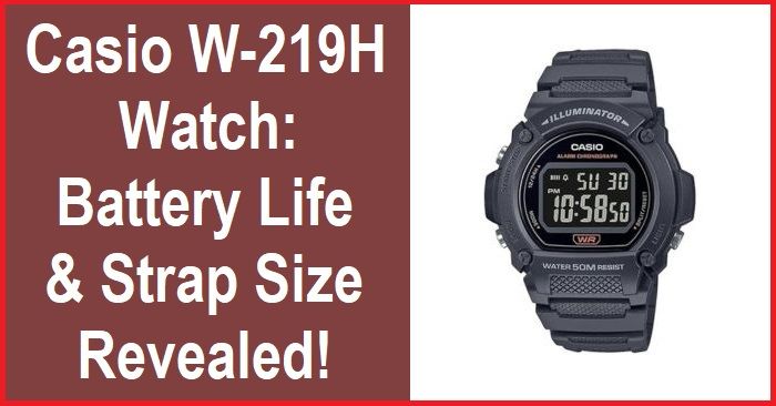 Casio W-219H watch: Long-lasting battery and comfortable strap size